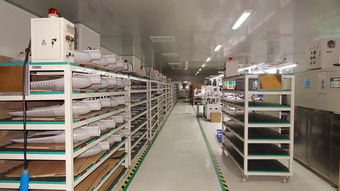 響應一帶一路倡議，燈具塑件企業(yè)積極拓展海外市場